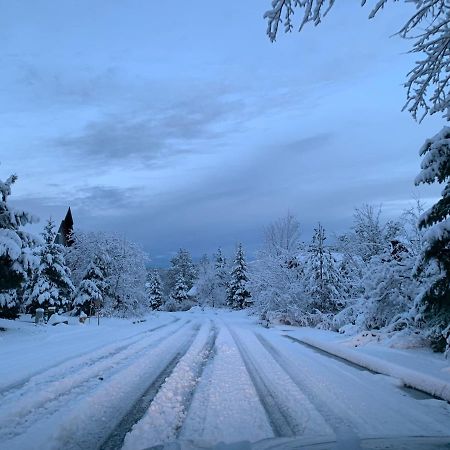 Village Suites Inn - American Black Bear - Perfect Location, In The Village! Can'T Be Better! Big Bear Lake Esterno foto